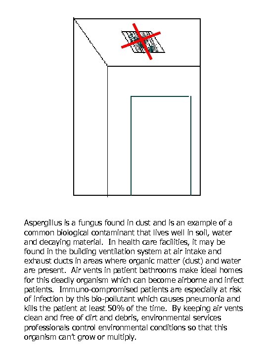 Aspergillus is a fungus found in dust and is an example of a common