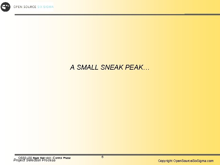 A SMALL SNEAK PEAK… OSSS LSS Black Belt v 9. 0 - Control Phase