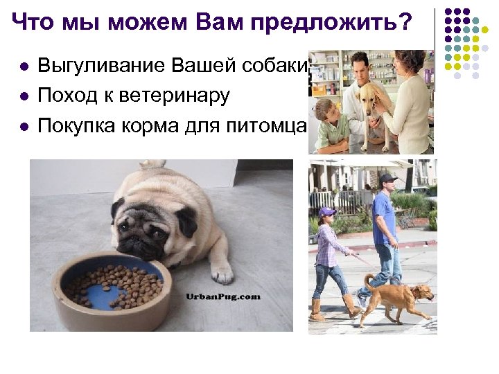 Что мы можем Вам предложить? l l l Выгуливание Вашей собаки Поход к ветеринару