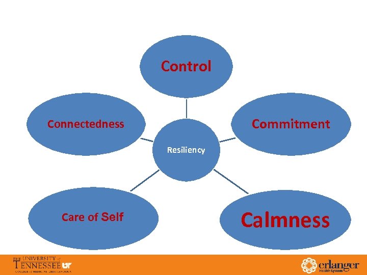 Control Commitment Connectedness Resiliency Care of Self Calmness 