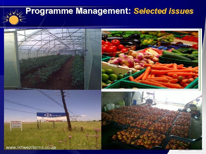 Programme Management: Selected issues www. ikhwezifarms. co. za 