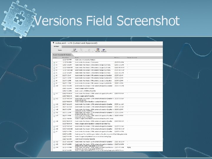 Versions Field Screenshot 