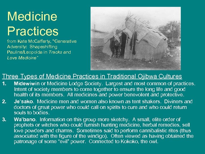 Medicine Practices from Kate Mc. Cafferty, “Generative Adversity: Shapeshifting Pauline/Leopolda in Tracks and Love