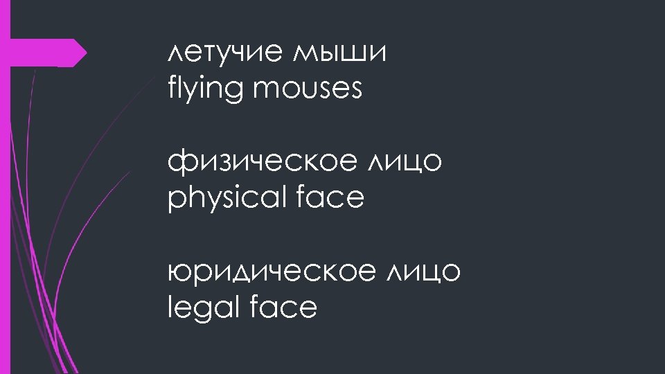 летучие мыши flying mouses физическое лицо physical face юридическое лицо legal face 