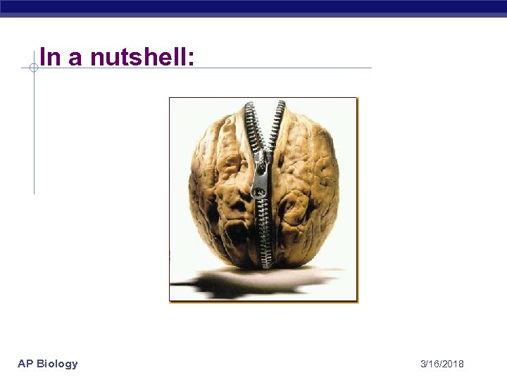In a nutshell: AP Biology 3/16/2018 