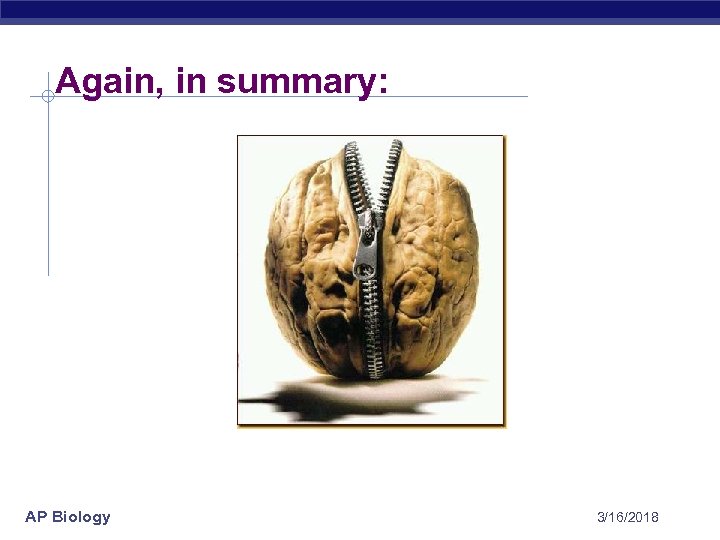 Again, in summary: AP Biology 3/16/2018 