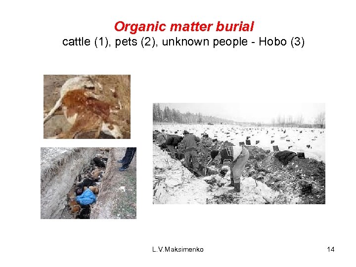 Organic matter burial cattle (1), pets (2), unknown people - Hobo (3) L. V.