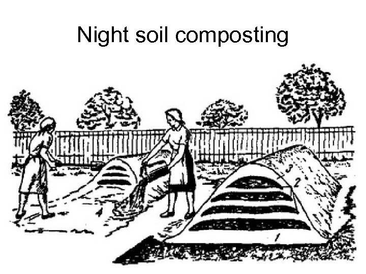 Night soil composting L. V. Maksimenko 16 