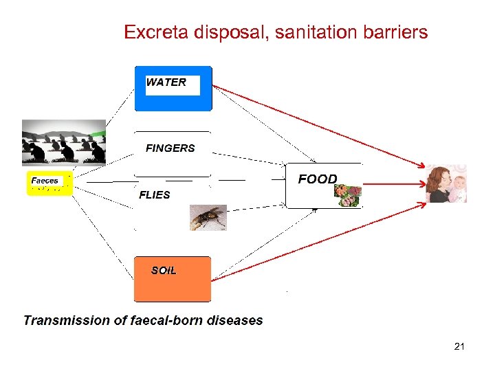 Excreta disposal, sanitation barriers 21 