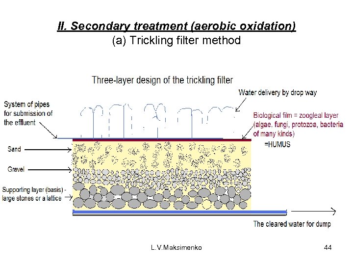 II. Secondary treatment (aerobic oxidation) (a) Trickling filter method L. V. Maksimenko 44 