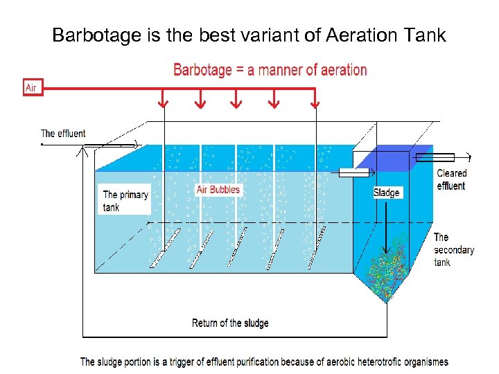 Barbotage is the best variant of Aeration Tank L. V. Maksimenko 47 