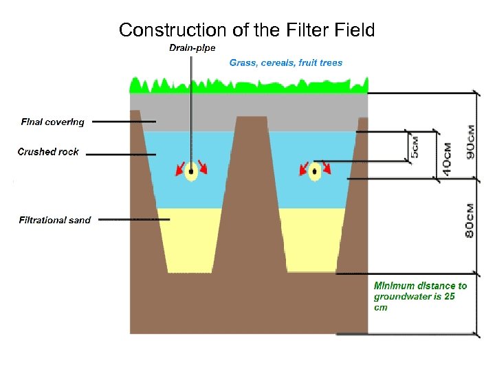 Construction of the Filter Field L. V. Maksimenko 52 