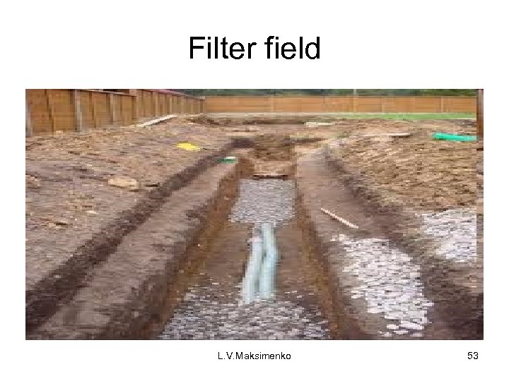 Filter field L. V. Maksimenko 53 