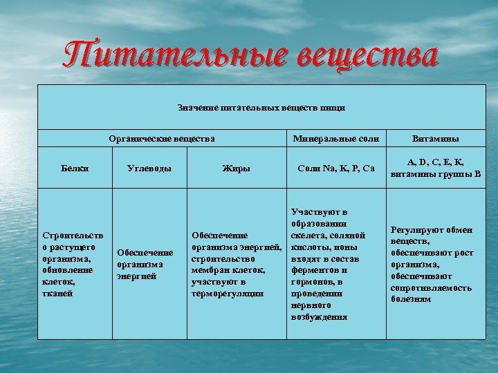 Питательные вещества Значение питательных веществ пищи Органические вещества Белки Строительств о растущего организма, обновление