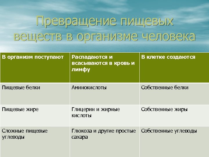 Превращение пищевых веществ в организме человека В организм поступают Распадаются и всасываются в кровь