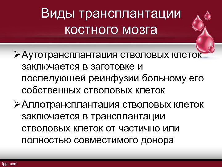 Виды трансплантации костного мозга Ø Аутотрансплантация стволовых клеток заключается в заготовке и последующей реинфузии