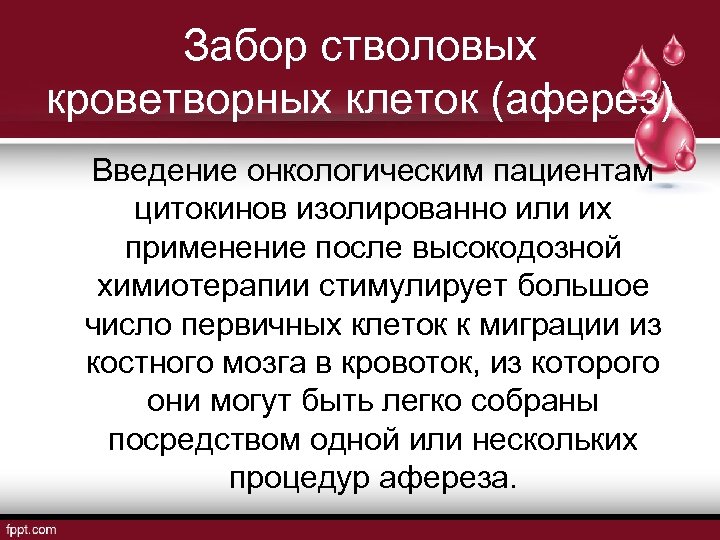 Забор стволовых кроветворных клеток (аферез) Введение онкологическим пациентам цитокинов изолированно или их применение после