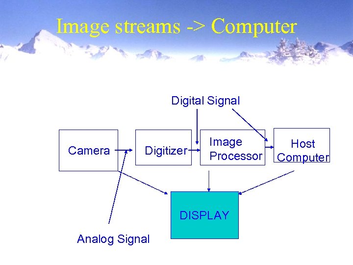 Image streams -> Computer Digital Signal Camera Digitizer Image Processor DISPLAY Analog Signal Host