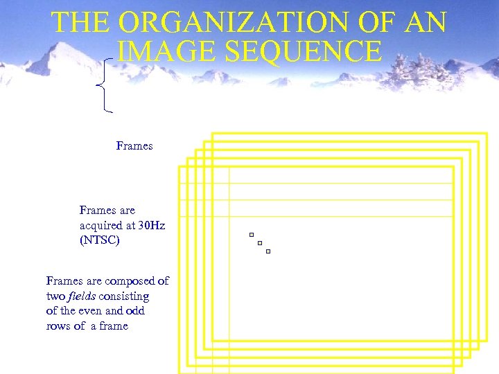 THE ORGANIZATION OF AN IMAGE SEQUENCE Frames are acquired at 30 Hz (NTSC) Frames