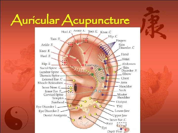 Auricular Acupuncture 
