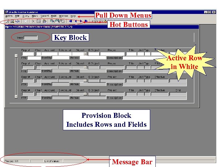 Pull Down Menus Hot Buttons Key Block Active Row in White Provision Block Includes