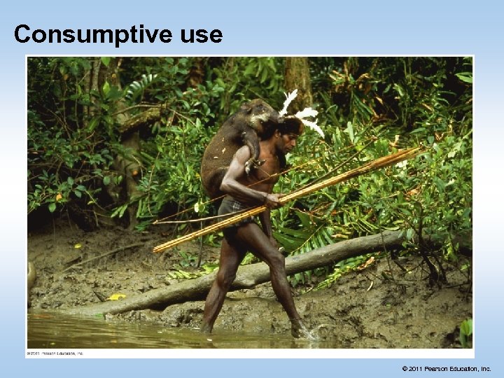 Consumptive use © 2011 Pearson Education, Inc. 