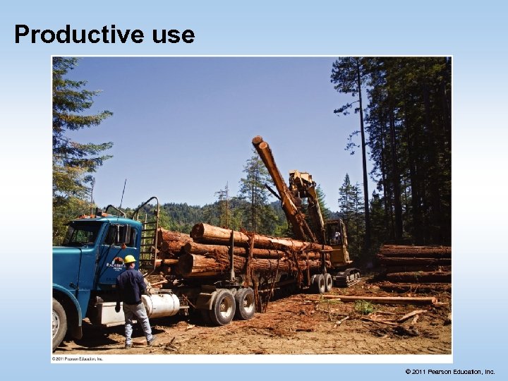 Productive use © 2011 Pearson Education, Inc. 