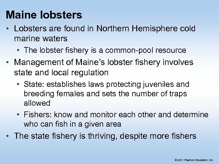 Maine lobsters • Lobsters are found in Northern Hemisphere cold marine waters • The