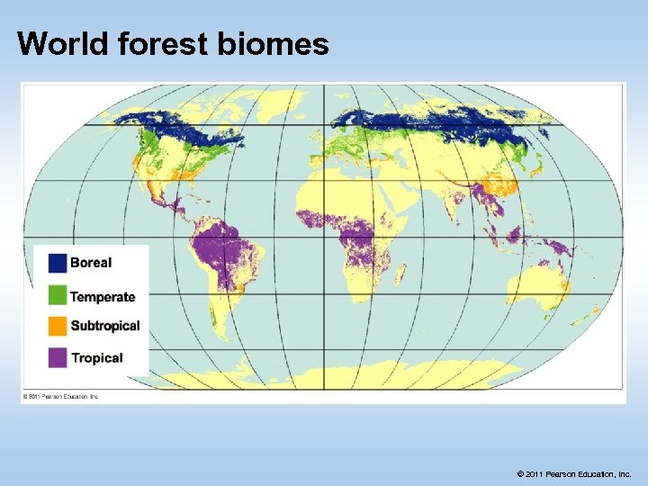 World forest biomes © 2011 Pearson Education, Inc. 