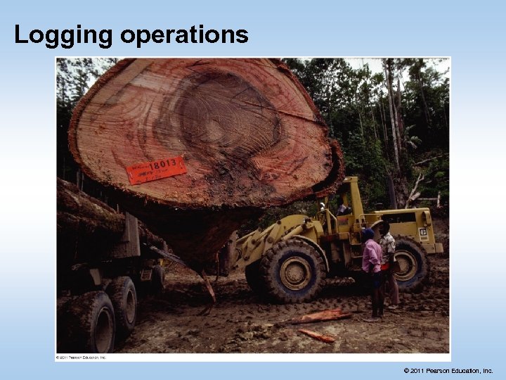 Logging operations © 2011 Pearson Education, Inc. 