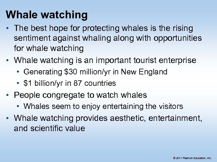 Whale watching • The best hope for protecting whales is the rising sentiment against