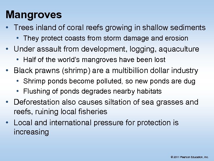 Mangroves • Trees inland of coral reefs growing in shallow sediments • They protect