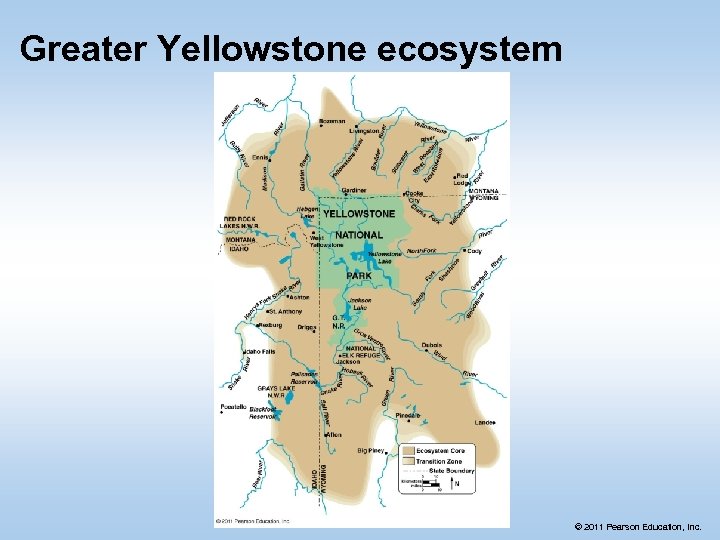Greater Yellowstone ecosystem © 2011 Pearson Education, Inc. 