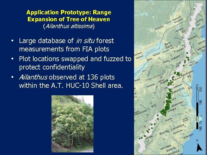 Application Prototype: Range Expansion of Tree of Heaven (Ailanthus altissima) • Large database of