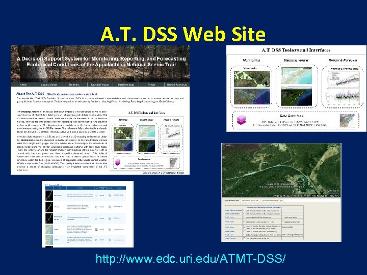 A. T. DSS Web Site http: //www. edc. uri. edu/ATMT-DSS/ 
