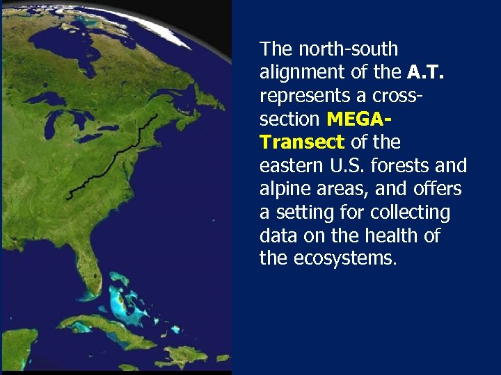 The north-south alignment of the A. T. represents a crosssection MEGATransect of the eastern