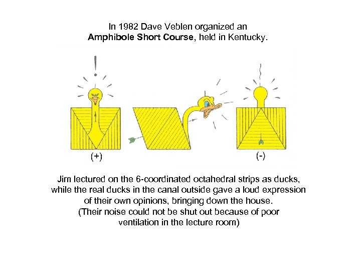 In 1982 Dave Veblen organized an Amphibole Short Course, held in Kentucky. Jim lectured