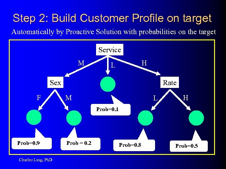 Step 2: Build Customer Profile on target Automatically by Proactive Solution with probabilities on