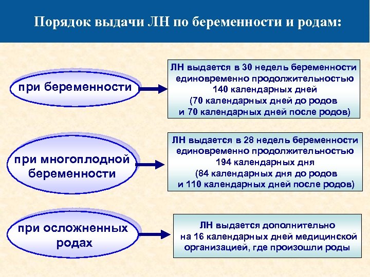 Порядок выдачи ЛН по беременности и родам: при беременности ЛН выдается в 30 недель