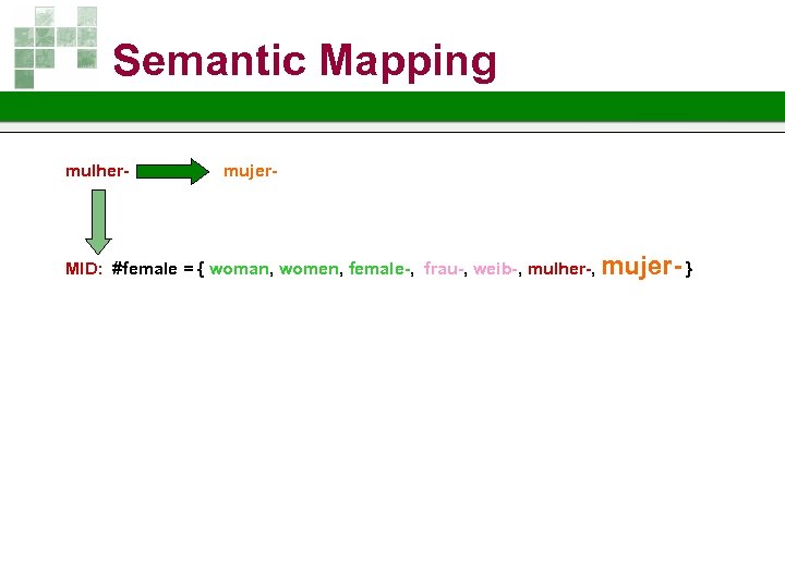 Semantic Mapping mulher- mujer- MID: #female = { woman, women, female-, frau-, weib-, mulher-,