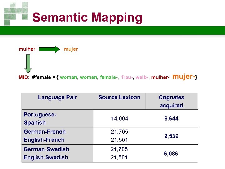 Semantic Mapping mulher mujer MID: #female = { woman, women, female-, frau-, weib-, mulher-,