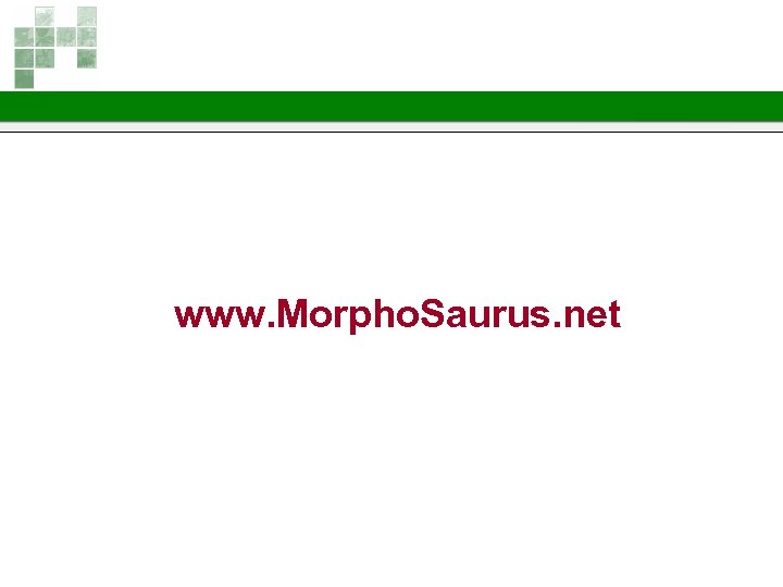 www. Morpho. Saurus. net 