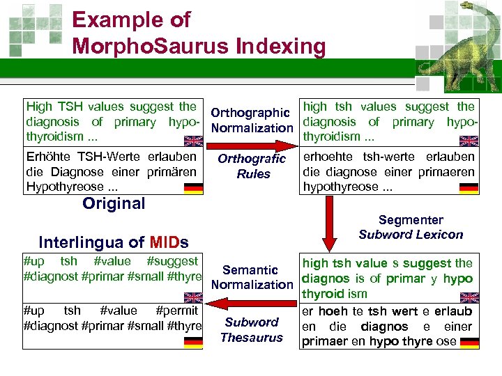 Example of Morpho. Saurus Indexing High TSH values suggest the Orthographic high tsh values