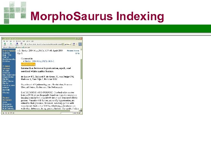 Morpho. Saurus Indexing 