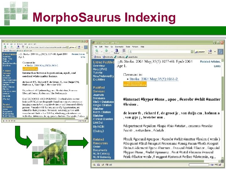 Morpho. Saurus Indexing 