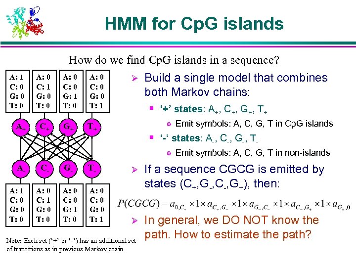 HMM for Cp. G islands How do we find Cp. G islands in a
