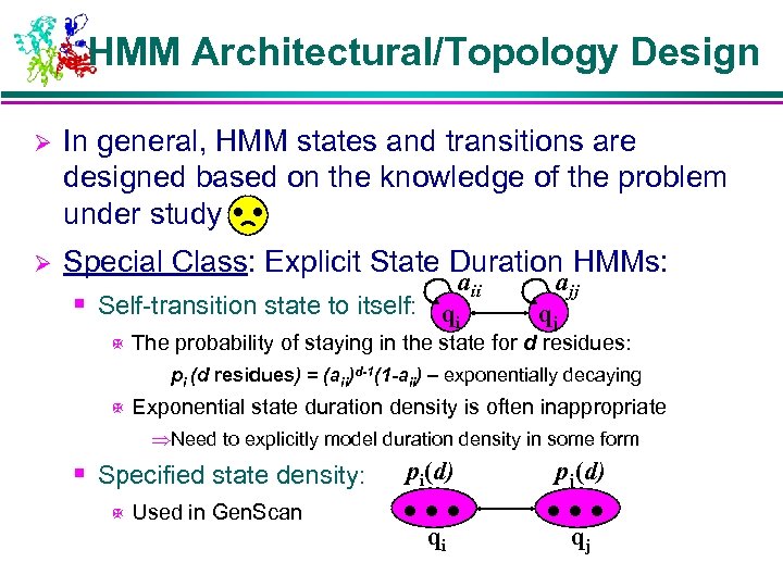 HMM Architectural/Topology Design Ø In general, HMM states and transitions are designed based on