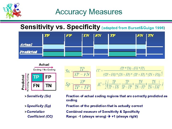 Accuracy Measures Sensitivity vs. Specificity (adapted from Burset&Guigo 1996) TP FP TN FN TP