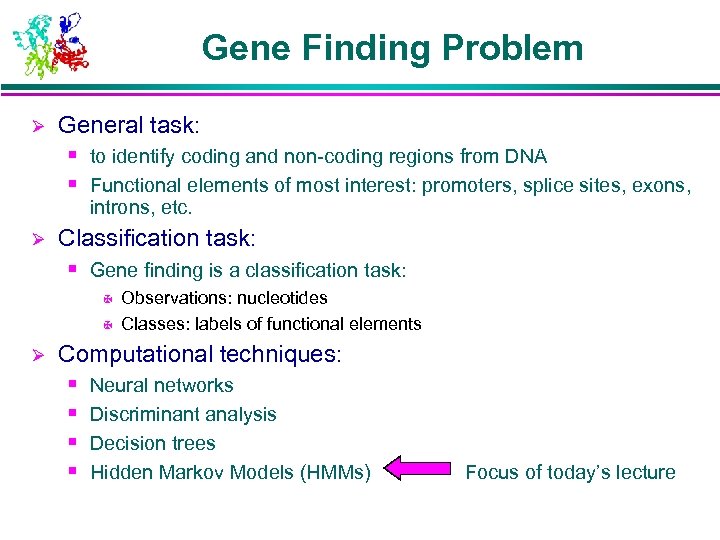Gene Finding Problem Ø General task: § to identify coding and non-coding regions from