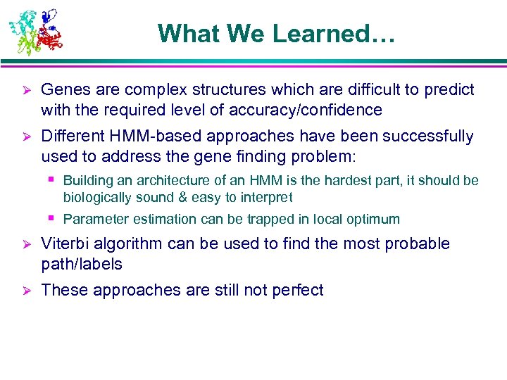 What We Learned… Ø Genes are complex structures which are difficult to predict with